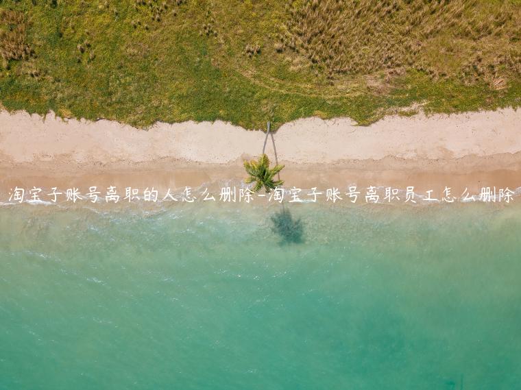 淘寶子賬號(hào)離職的人怎么刪除-淘寶子賬號(hào)離職員工怎么刪除